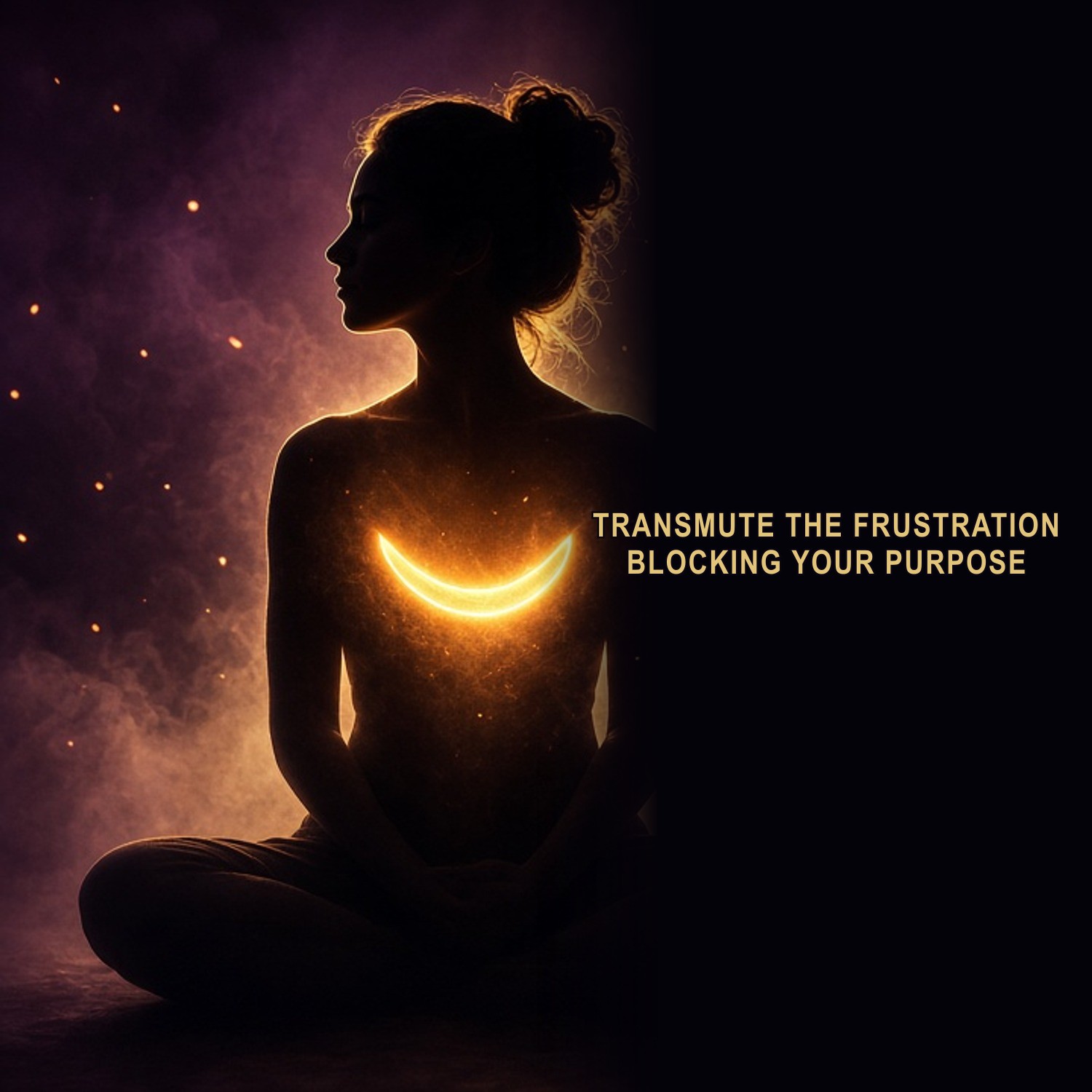 Transmute the Frustration Blocking Your Purpose : Guided Meditation guided meditation by Brian Wroblewski