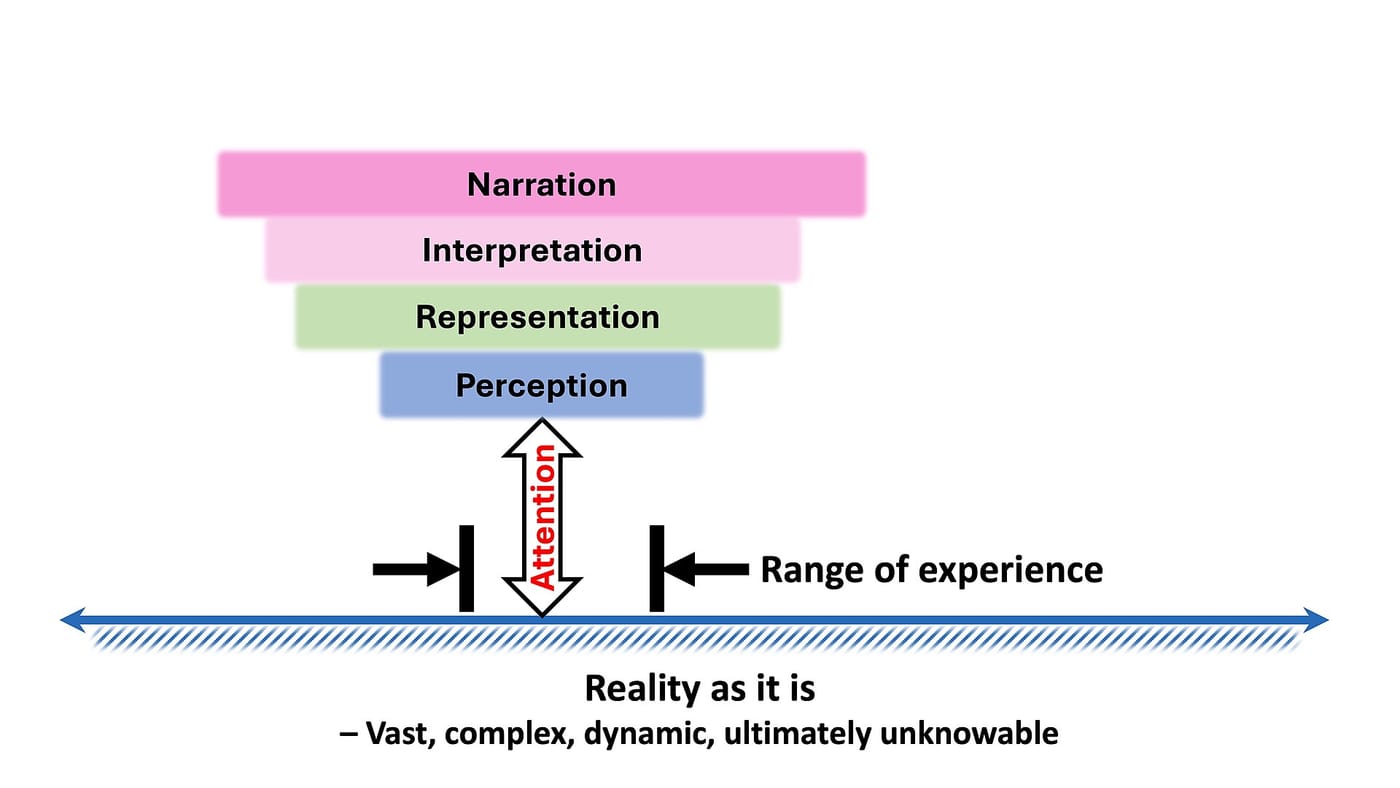 attention and perception, Attention selects, perception interprets