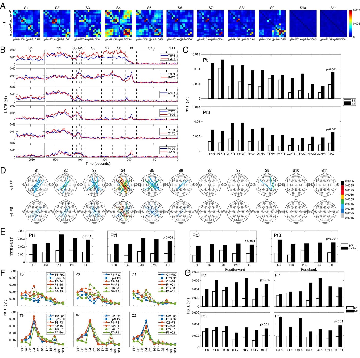 EEG of the dying brain