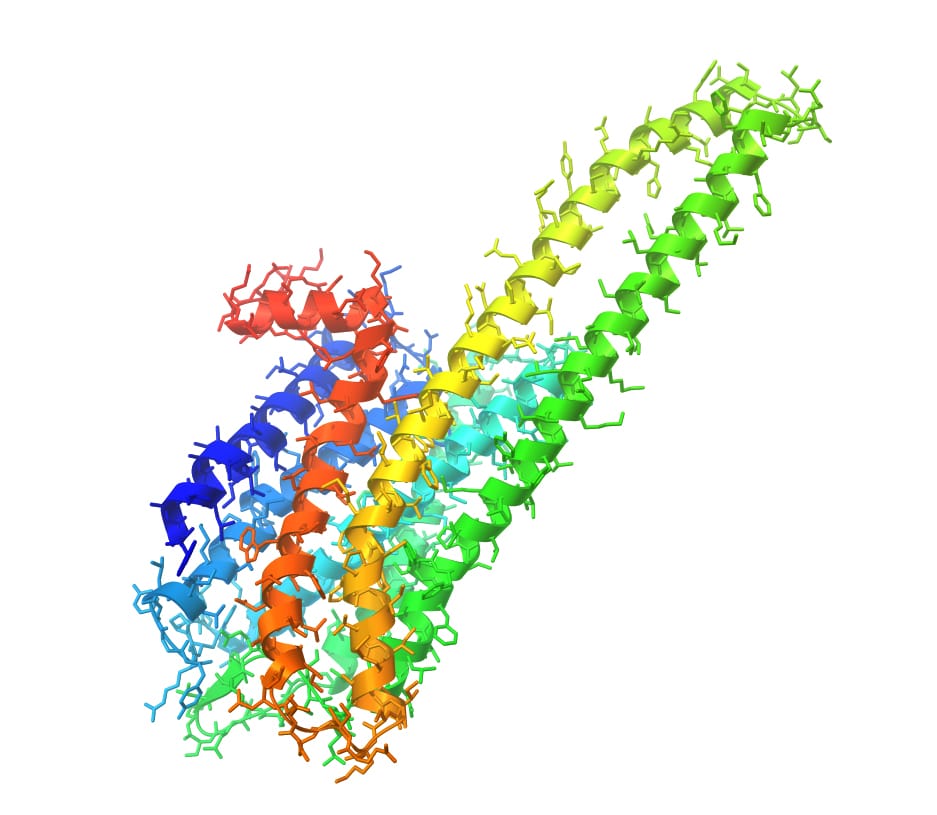 5-HT2A receptor, The 5-HT2A receptor sits on neurons in the cortex, the outer layer of the brain involved in thinking, percei