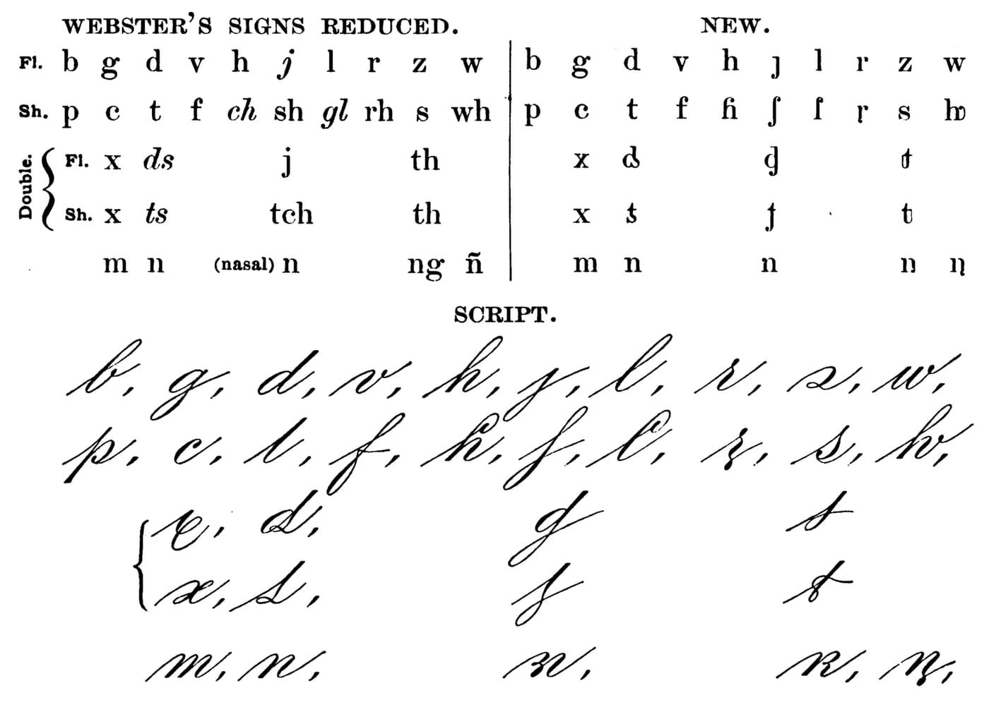 Studer phonetic consonants