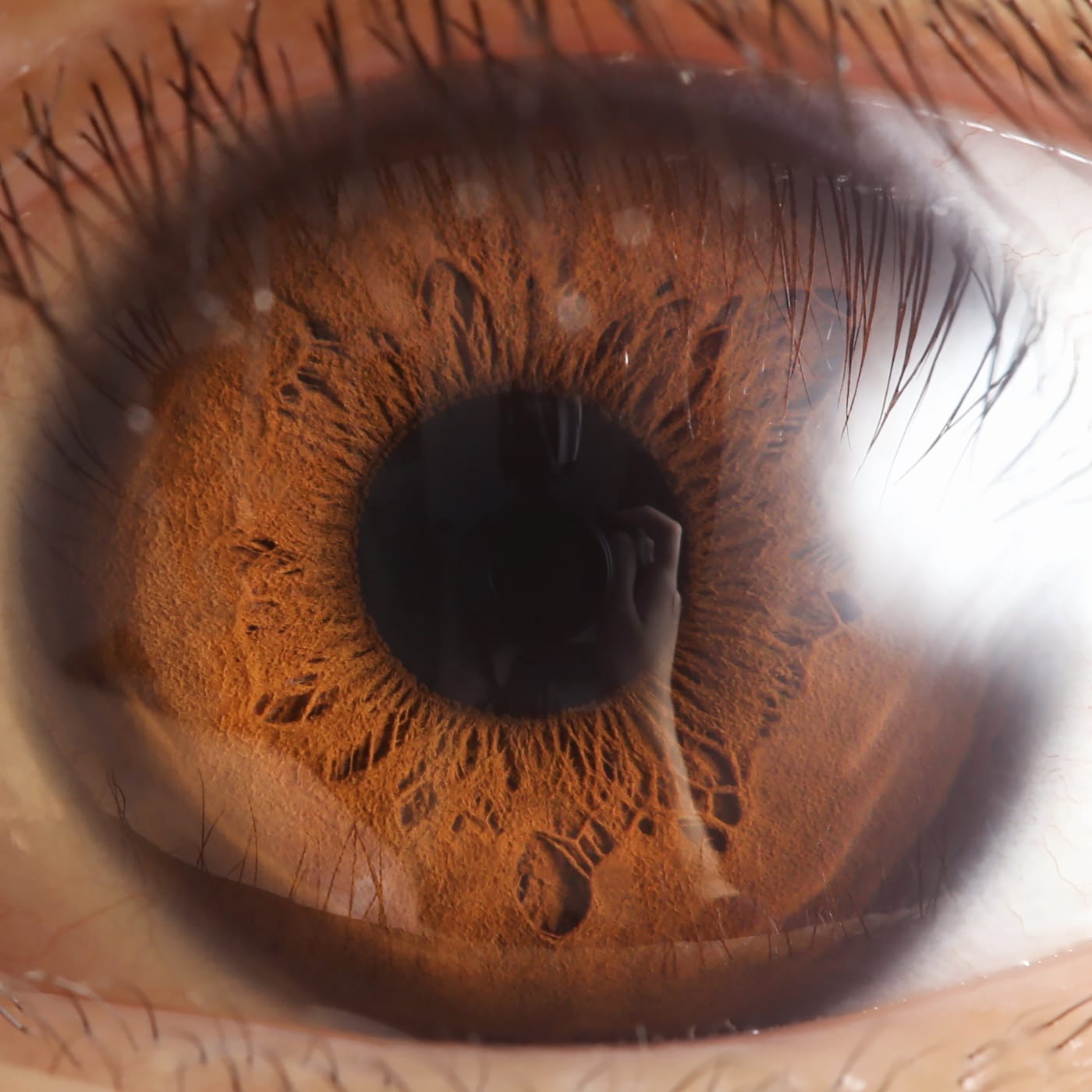 A human eye up close