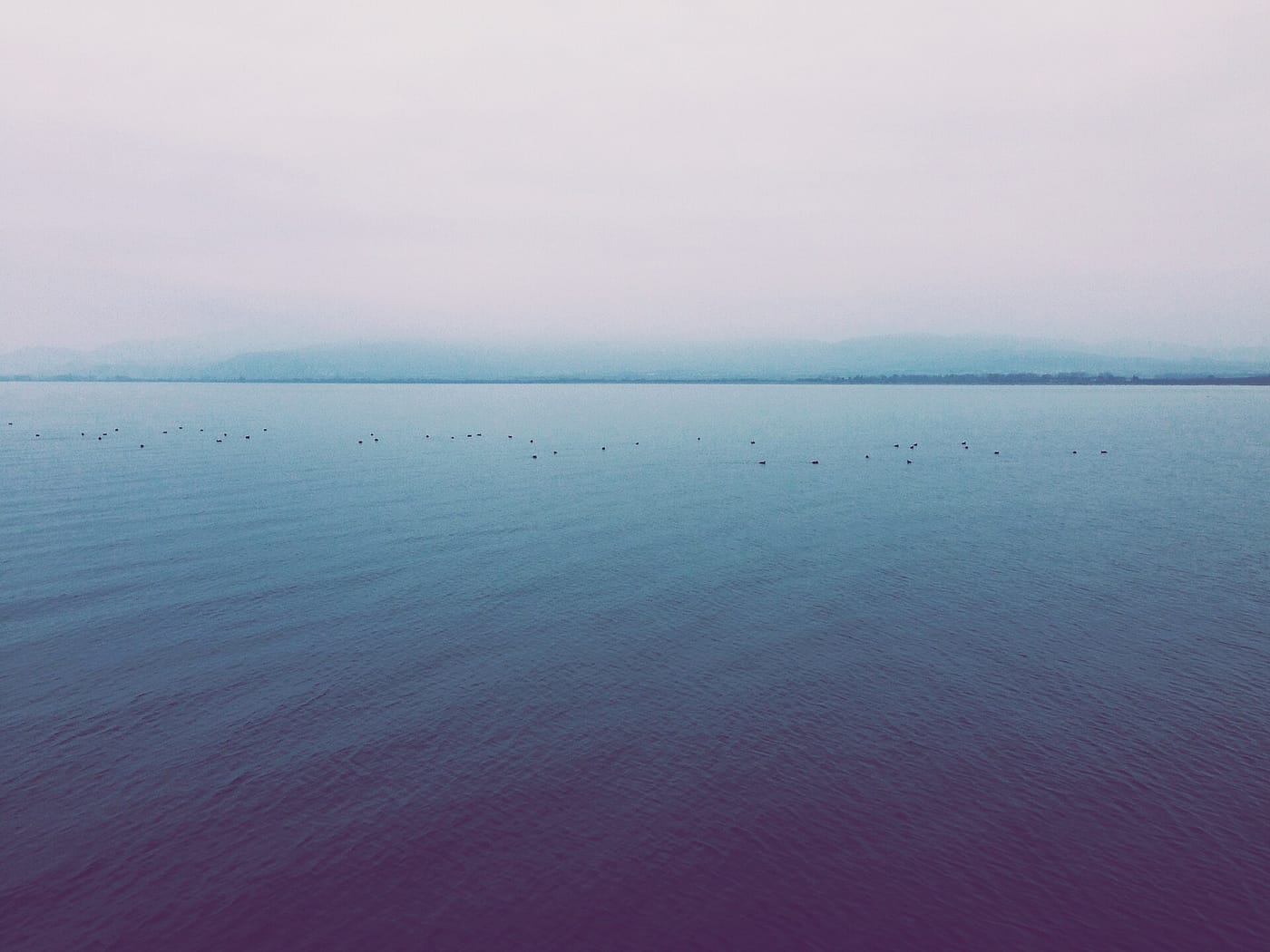 Lake Dojran in fog