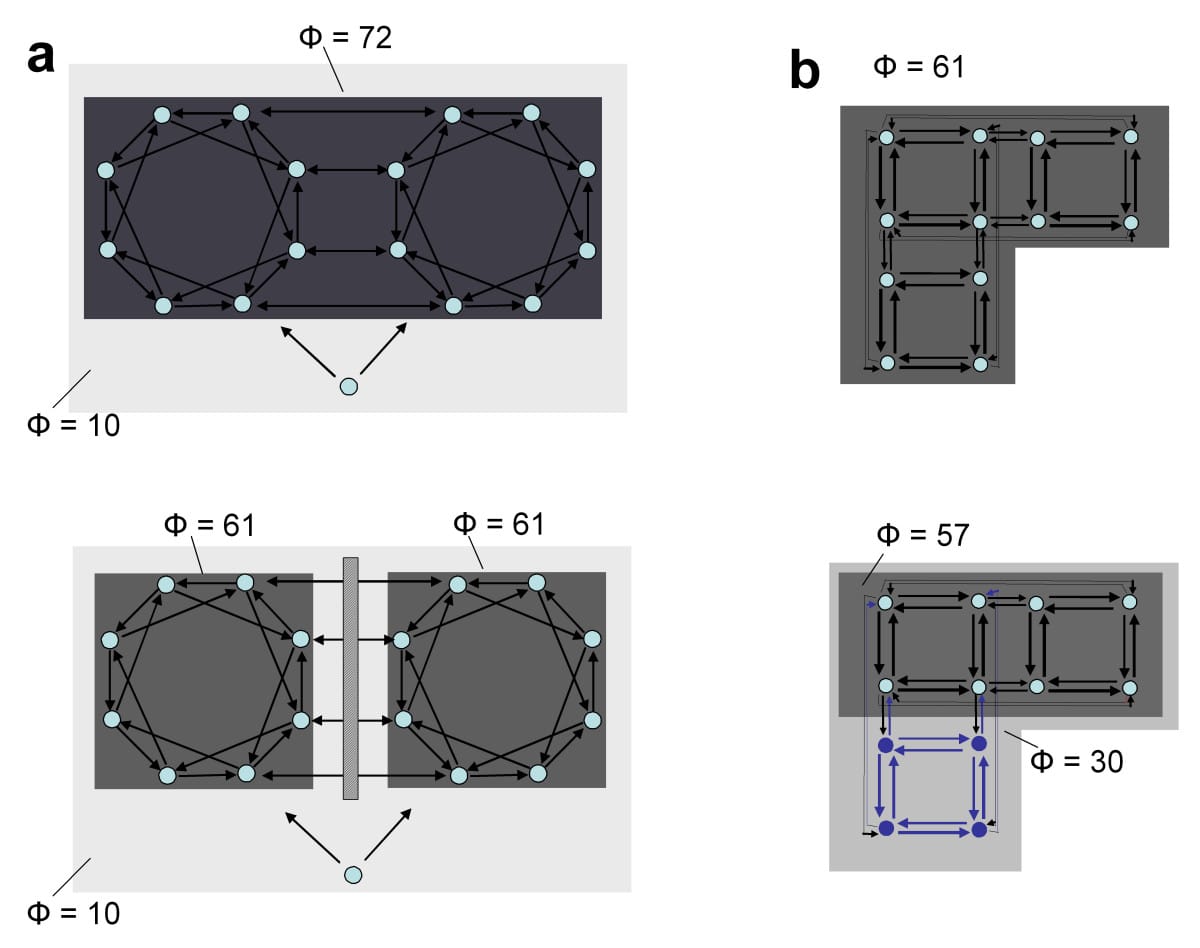 Integrated Information Theory diagram, Integrated Information Theory, developed by Giulio Tononi